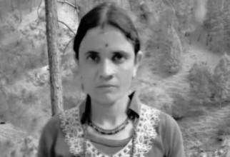 घाँस काट्न गएकी महिला स्वास्थ्य स्वयंसेविका भीरबाट लडेर बितिन्