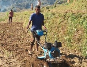 मिनी ट्रिलरको बढ्दो प्रयोगले हराउँदै बैतडीमा  हलगोरुको परम्परा