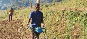 मिनी ट्रिलरको बढ्दो प्रयोगले हराउँदै बैतडीमा  हलगोरुको परम्परा