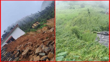 Ward office building of Purchaidi-10 is at risk of landslides, corn crop destroyed by rain